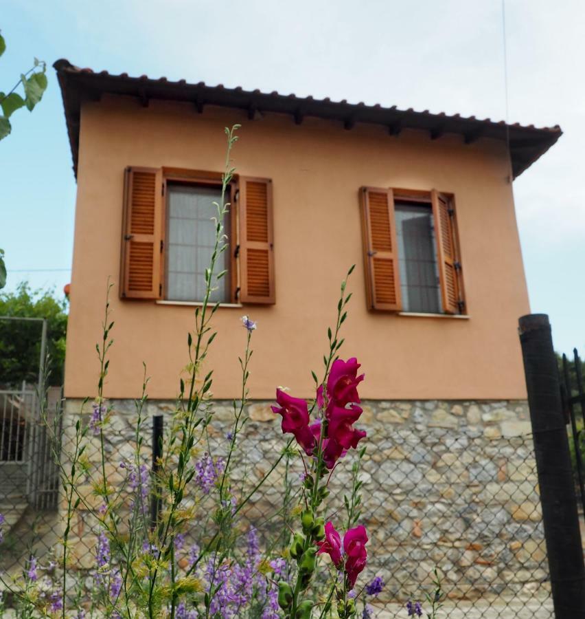House Holiday home Paliouri